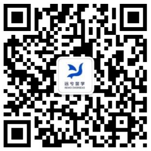 远兮公众号
